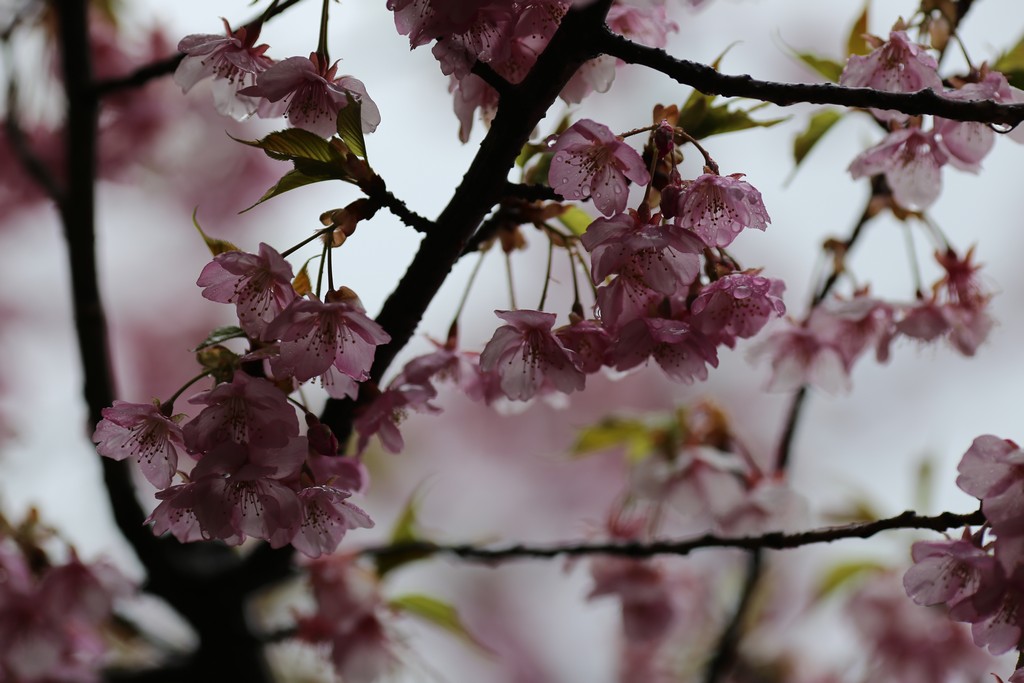 фото 3