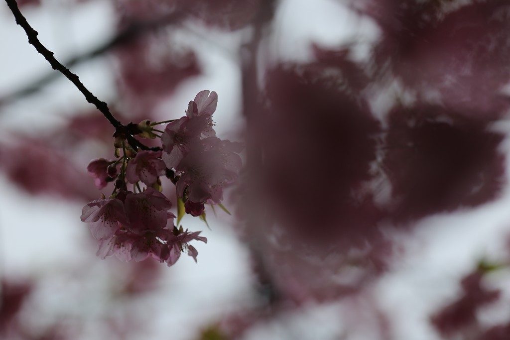 фото 8