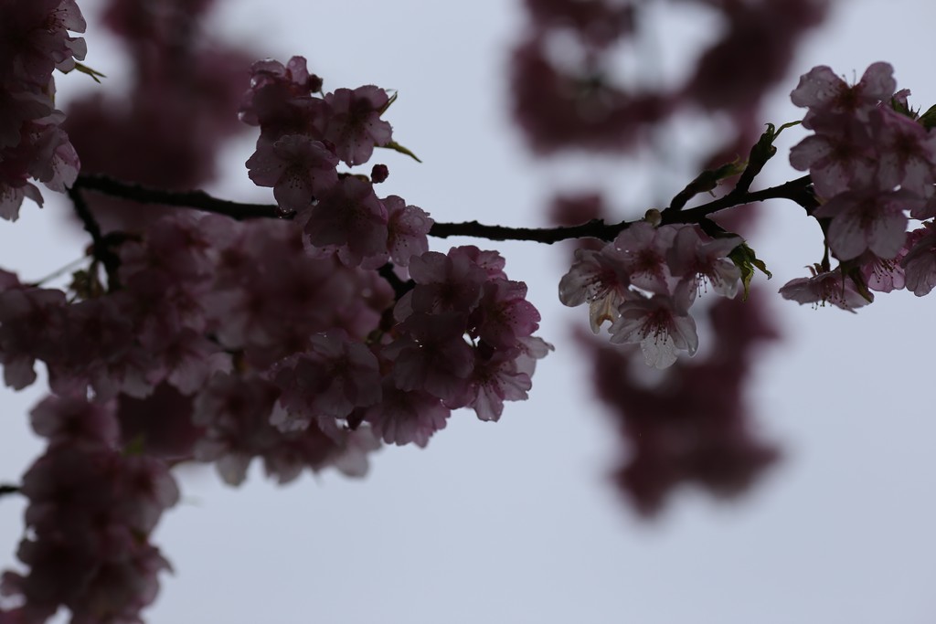 фото 9