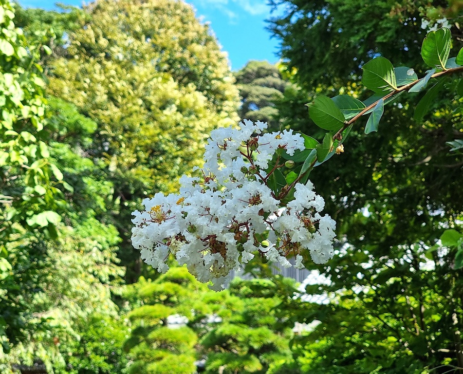 фото 3